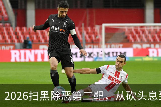 2026扫黑除恶第二靶，从砍头息到软暴力：网络套路贷的犯罪构造